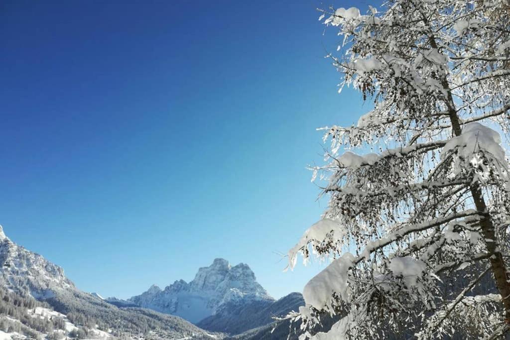 Apartmán La Majon Colle Santa Lucia Exteriér fotografie
