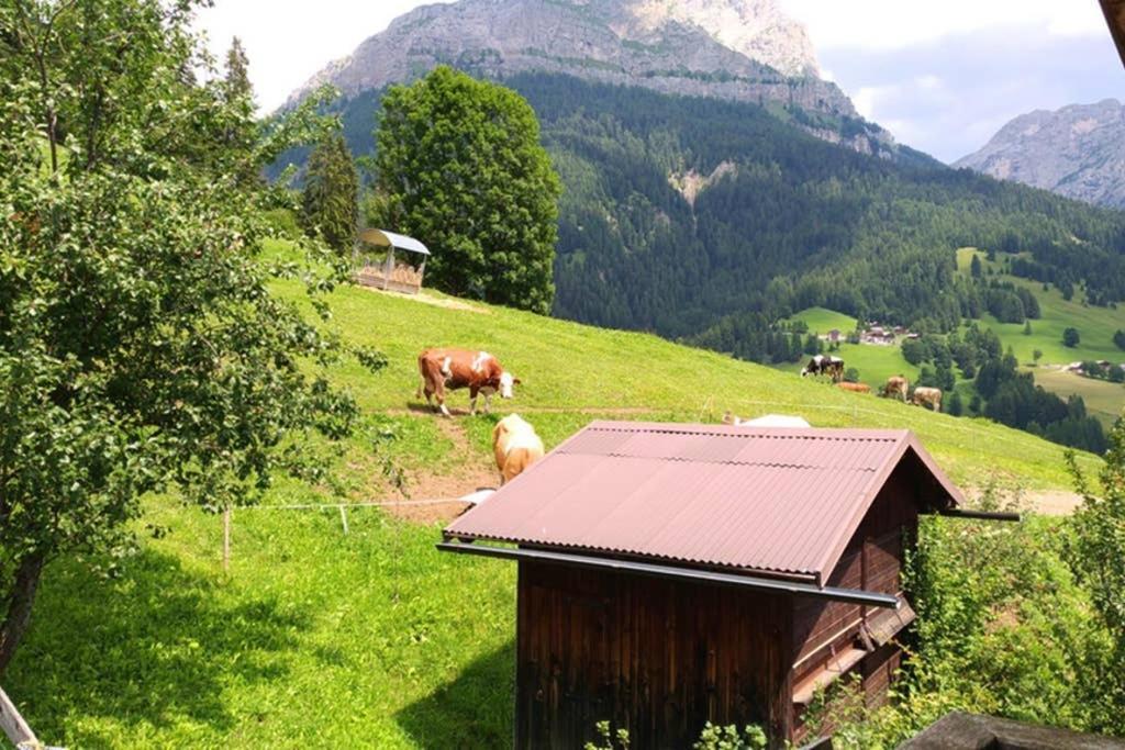 Apartmán La Majon Colle Santa Lucia Exteriér fotografie