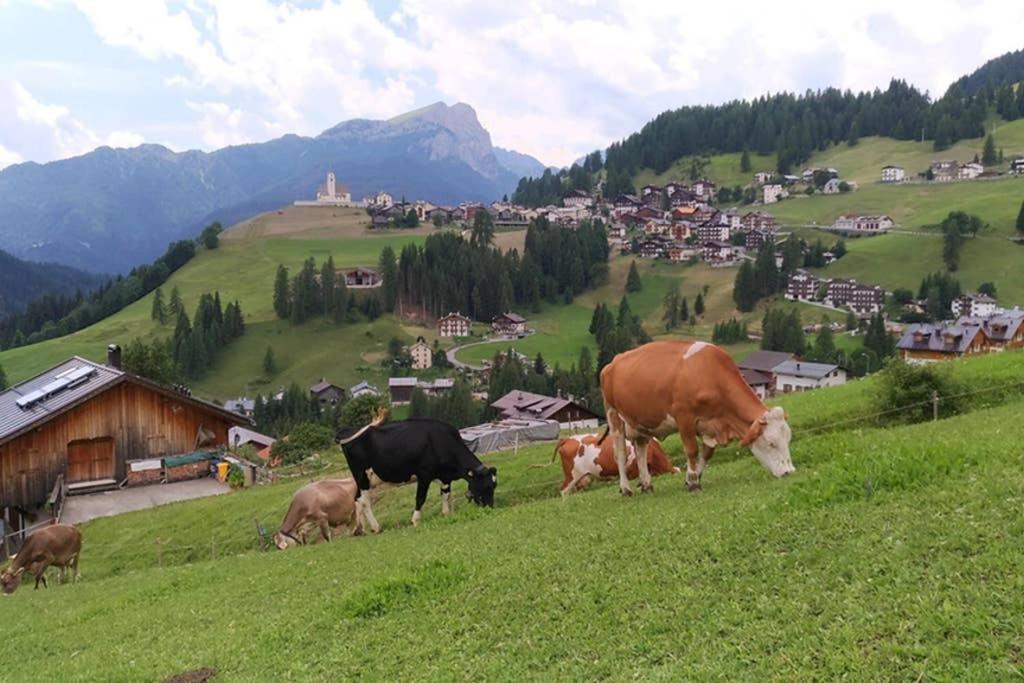 Apartmán La Majon Colle Santa Lucia Exteriér fotografie