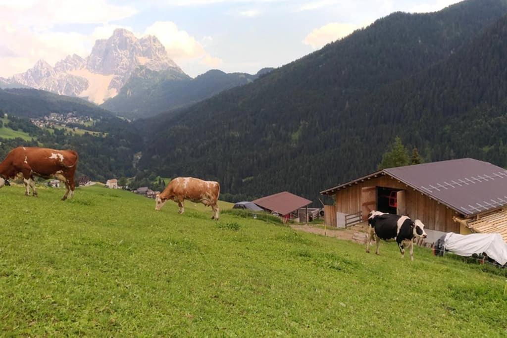 Apartmán La Majon Colle Santa Lucia Exteriér fotografie